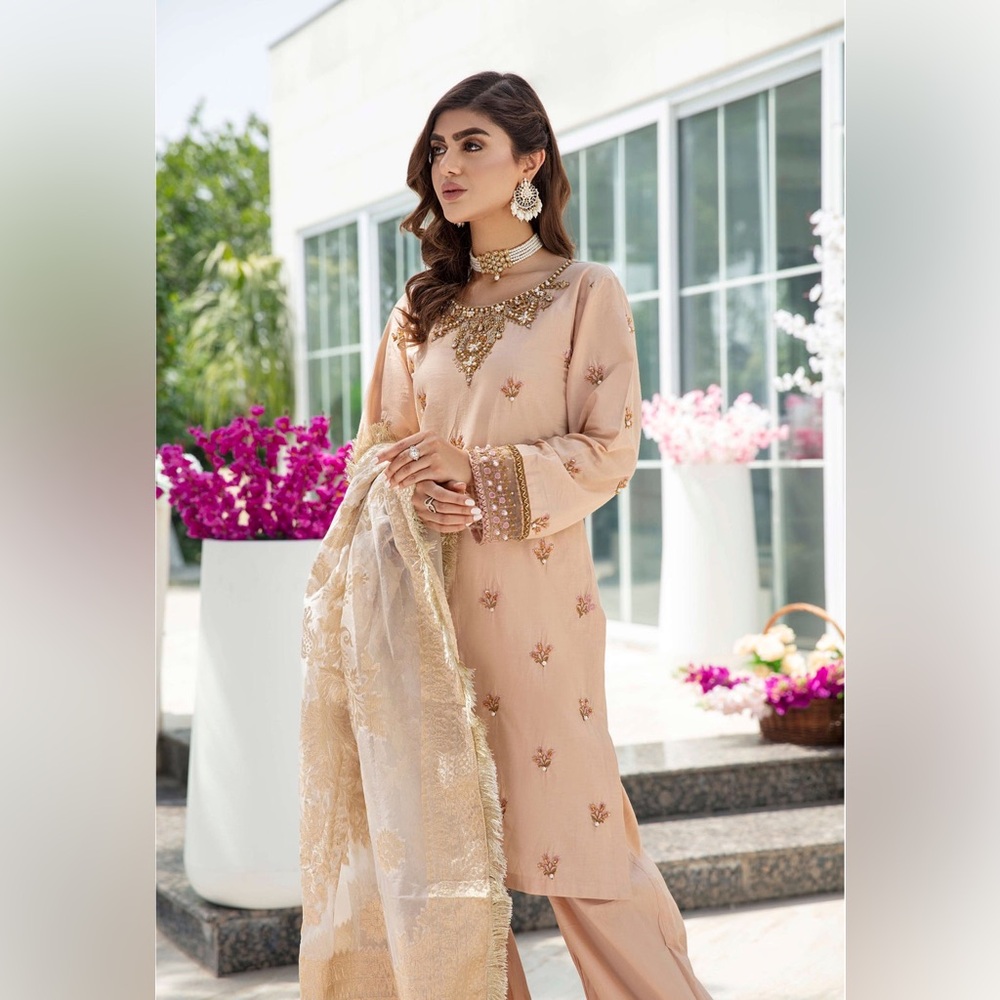 Embellished Pakistani Straight Suit